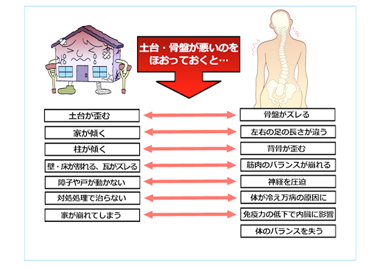 カイロ整体コースの考え方